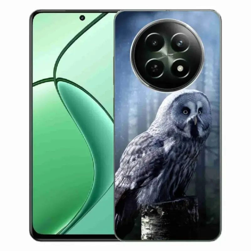 Cenově Výhodný Gelový kryt mmCase na Realme 12 5G/12x 5G - sova