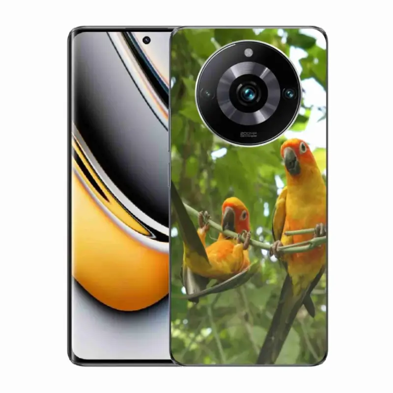 Omezená Nabídka Gelový kryt mmCase na Realme 11 Pro 5G/11 Pro+ 5G - papoušci aratingy
