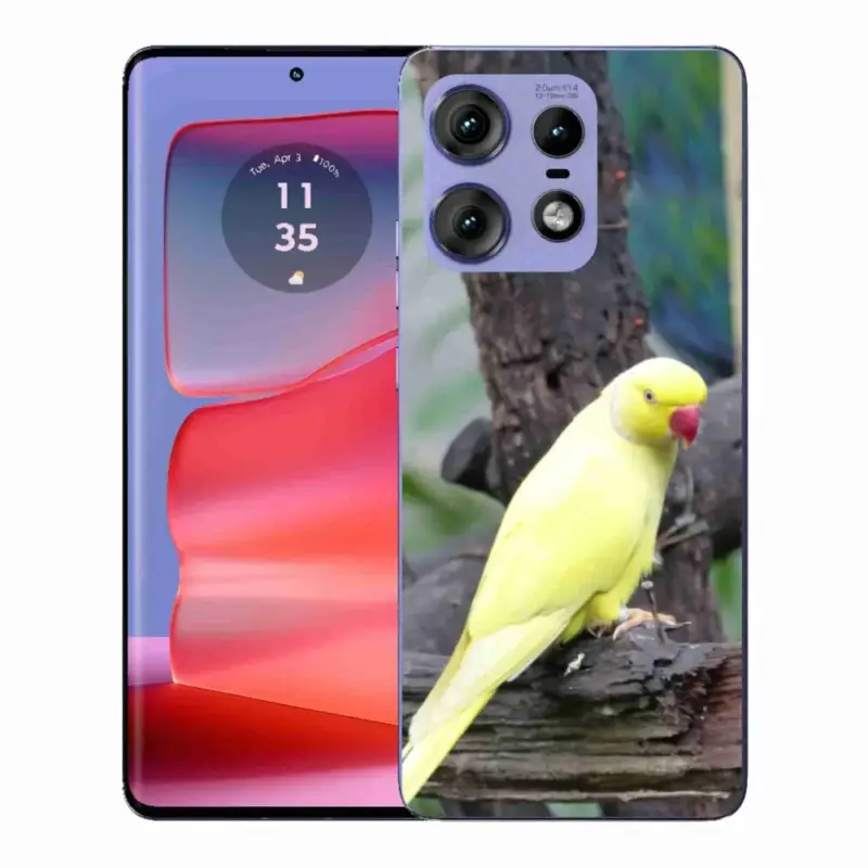 Tovární Cena Gelový kryt mmCase na Motorola Edge 50 Pro - papoušek alexandr žlutý