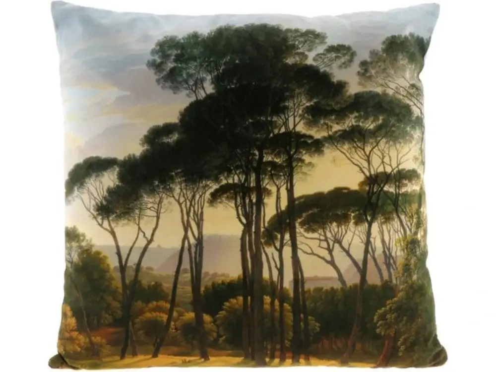 Objednat Nyní Dekorační polštářek FOREST 45x45 cm, barevný